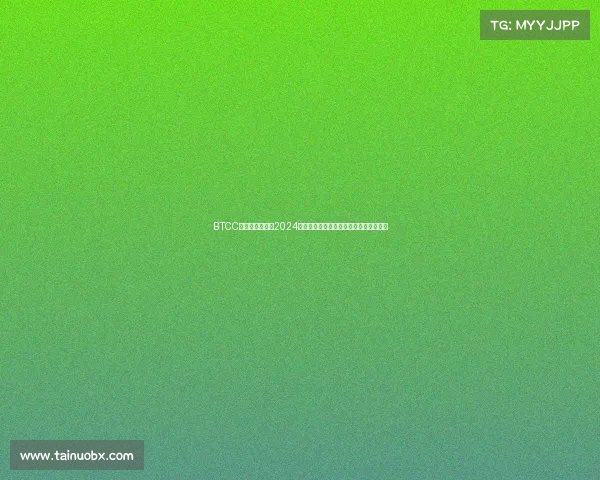 BTCC英国房车锦标赛2024赛季全新启航速度激情巅峰对决荣耀时刻